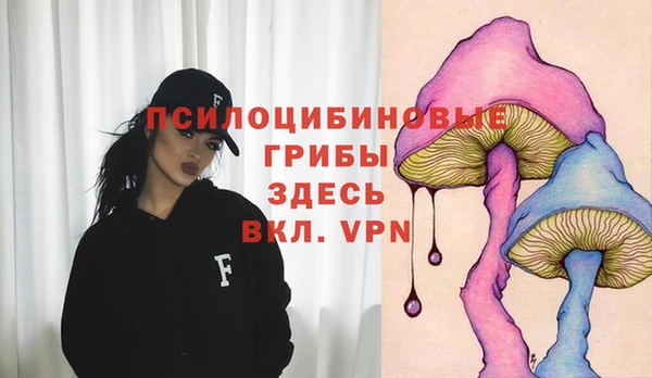 МДПВ Армянск